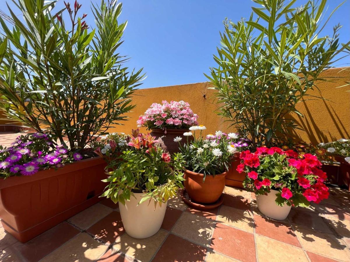 Casa Yvona Lägenhet Alghero Exteriör bild
